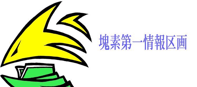 塊素第一情報区画