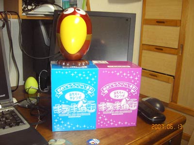 �L���������̊ʋl