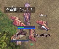 夕霧君倒れる