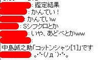 コットンシャツでした
