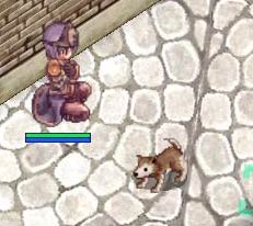 これからよろしく!