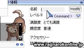 何にしよう