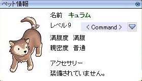命名:キュラム