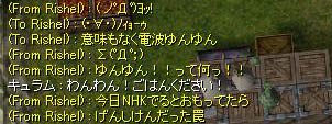 電波ゆんゆん