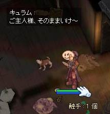 キュラムは？