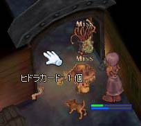五分後の写真