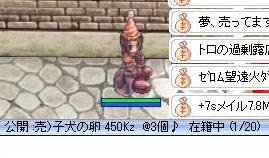 売れないかな～