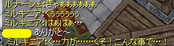 戦っているらしい