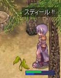 輝く草発見