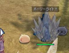 Rishelたんパキーン