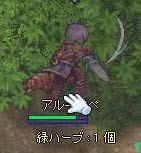 生命線の緑ハーブ