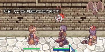 かかお二六〇個の集大成