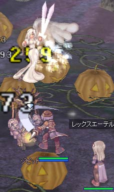 かぼちゃ畑にて