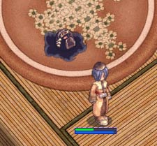 カブキに追い回される