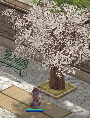 プロのお花見