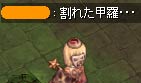 割れた甲羅