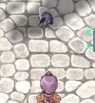 兜が落ちてる