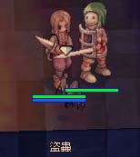 下水道にて盗蟲