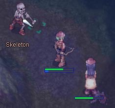 フェイヨンＤで鍛錬