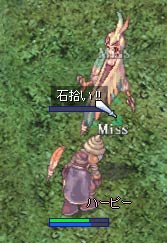 石投げで応戦