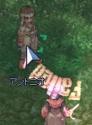 バキッ