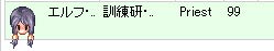 確かにレベル99