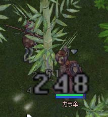 狩り続け