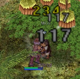 イグ葉集め